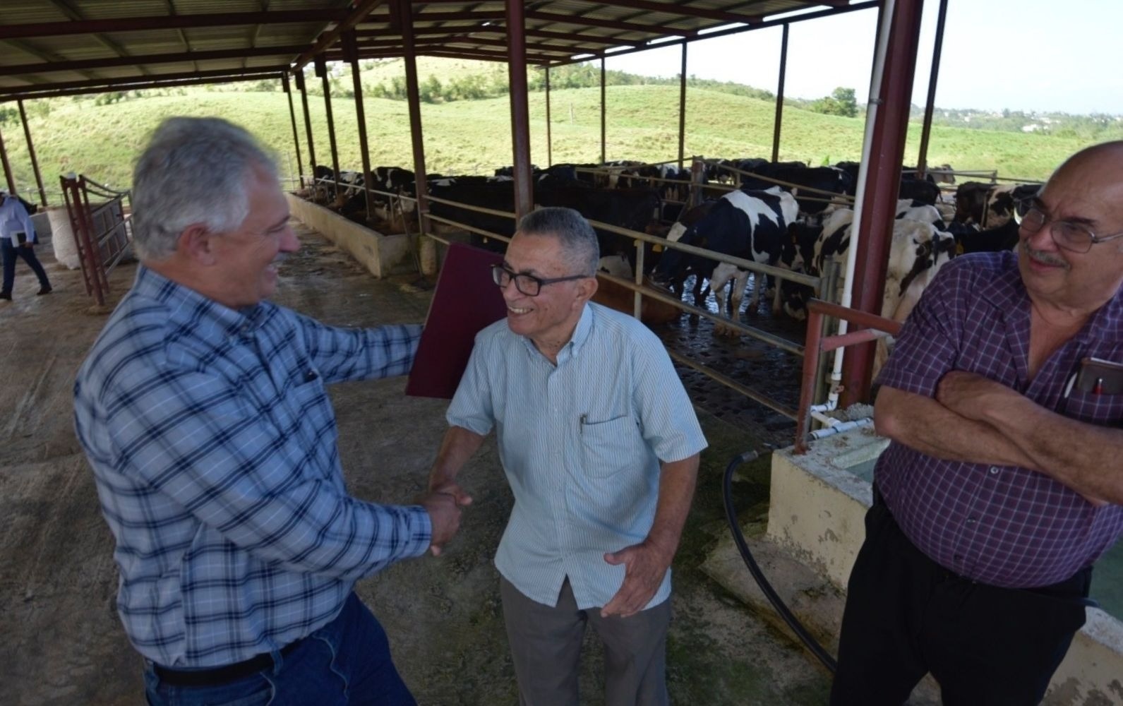 46 de las vaquerías no tienen energía eléctrica