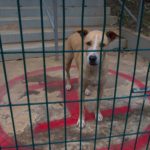 Es Noticia_Edificios dañados 4