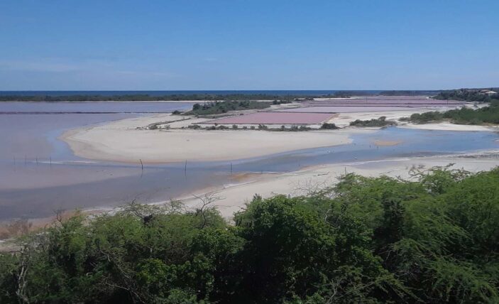 Legisladores rechazan aprobación ambiental del Proyecto Esencia en Cabo Rojo