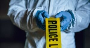 Hombre es asesinado a tiros en Vega Baja