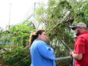 Inspeccionan reconstrucción en el sur tras terremotos