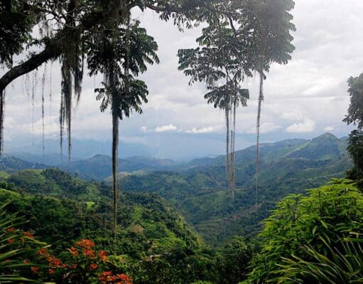 Frente frío trae lluvias y clima fresco sobre la región