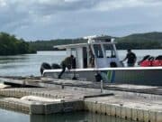 Buscan cazador reportado desaparecido en Isla de Mona