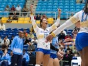 Manatí se enfrentará a Corozal en la semifinal B