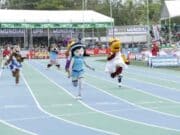 Algarabía por las Justas