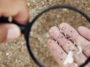 Ateneo de Ponce invita a la charla: ‘Los microplásticos y cómo afectan los ecosistemas marinos’