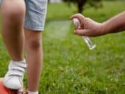 Departamento de Salud repasa medidas de prevención y control del dengue