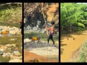 Aparece cuerpo que se cree es joven desaparecido en Gozalandia