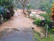 Deslizamiento de rocas en carreteras de Peñuelas