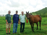 Abuelo, padre, hijo y nieto de pura sangre