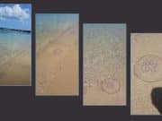 Sorprende la cantidad de ‘agua viva’ en Boquerón