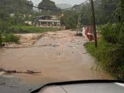 Varias carreteras cerradas debido a inundaciones o árboles caídos