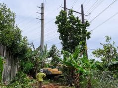LUMA Energy inspecciona en Caguas el avance de proyecto de desganche financiado con fondos federales