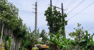 LUMA Energy inspecciona en Caguas el avance de proyecto de desganche financiado con fondos federales