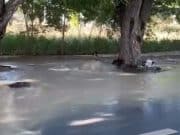 Sin servicio de la AAA varias comunidades al Oeste de Ponce