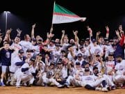 Titanes de Florida, los nuevos monarcas de la Doble A boricua