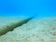 Oposición dominicana al cable submarino para traer electricidad de la República Dominicana