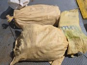 Interceptan embarcación con cocaína en el norte de Puerto Rico