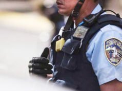 Roban $10 mil del interior de una guagua en Dorado