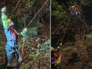 Rescatan a turista extraviada en el Bosque Estatal de Ceiba