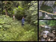 Someten resolución para que investiguen el propuesto desarrollo La Cima en Cupey