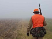 Proponen hacer obligatorio que todo cazador en la Isla de Mona use un dispositivo de rastreo con GPS