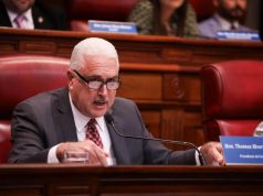 Rivera Schatz advierte costo político por extensión de investigación contra secretaria de Vivienda