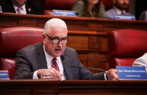 Rivera Schatz advierte costo político por extensión de investigación contra secretaria de Vivienda