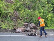 Cierre de la PR-791 en Comerío por árbol caído tras intensas lluvias del fin de semana