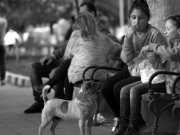 8,200 menores viven bajo nivel de pobreza en Mayagüez