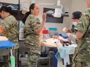 Ofrecen servicios veterinarios libres de costos