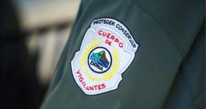 DRNA informa que ordenó paralizar construcción en Isabela