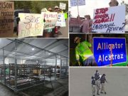 Indignación por condiciones en “Alligator Alcatraz”: el centro de detención de inmigrantes en los Everglades