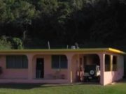 Dueño de “La Casita” en Humacao denuncia tiroteo frente a su residencia