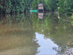 Fuertes lluvias provocan inundaciones en el Refugio de Vida Silvestre de Boquerón