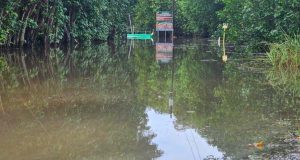 Fuertes lluvias provocan inundaciones en el Refugio de Vida Silvestre de Boquerón