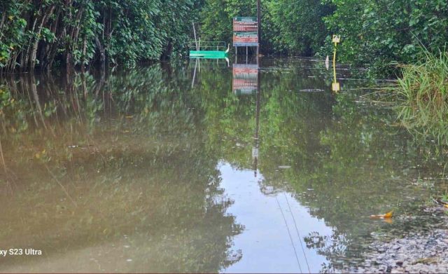 inundacion