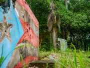 Primeros mártires de la revolución nacionalista de 1950 cayeron en Peñuelas