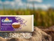 Sale al mercado el Arroz Jazmín Coloso