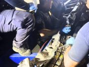 Decomisan 530 kilogramos de cocaína en barco procedente de República Dominicana