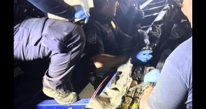 Decomisan 530 kilogramos de cocaína en barco procedente de República Dominicana