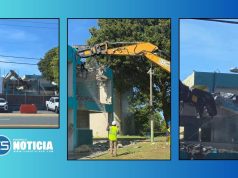 Inicia demolición escuela Pedro Albizu