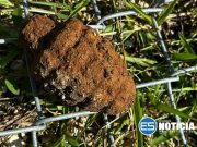 Encuentran artefacto explosivo en Vega Baja