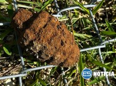 Encuentran artefacto explosivo en Vega Baja