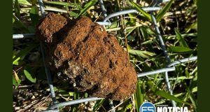 Encuentran artefacto explosivo en Vega Baja