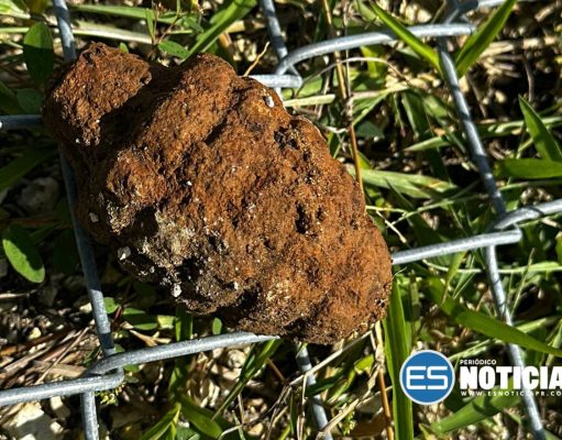 Encuentran artefacto explosivo en Vega Baja