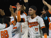 Los Bucaneros irán a la final de la COLICEBA