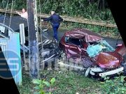 Dos muertos en accidente ocurrido en Utuado