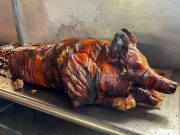 Cerdo del país intenta sobrevivir