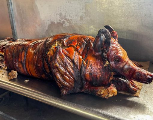 Cerdo del país intenta sobrevivir